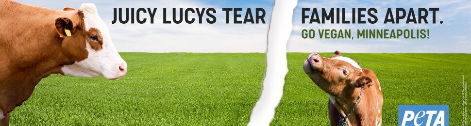 Juicy Lucys Tear Families Apart. Go Vegan, Minneapolis!
