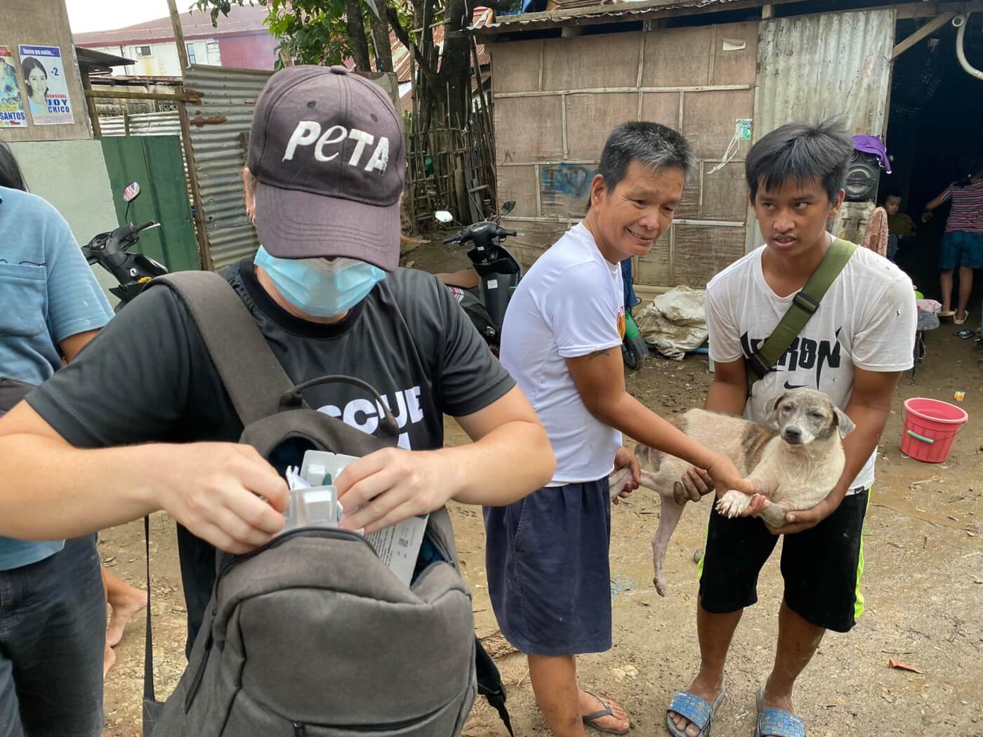 Treating animals for mange Typhoon Noru 4 PETA Asia Rescue Team on the Scene After Typhoon Noru Rips Through Philippines
