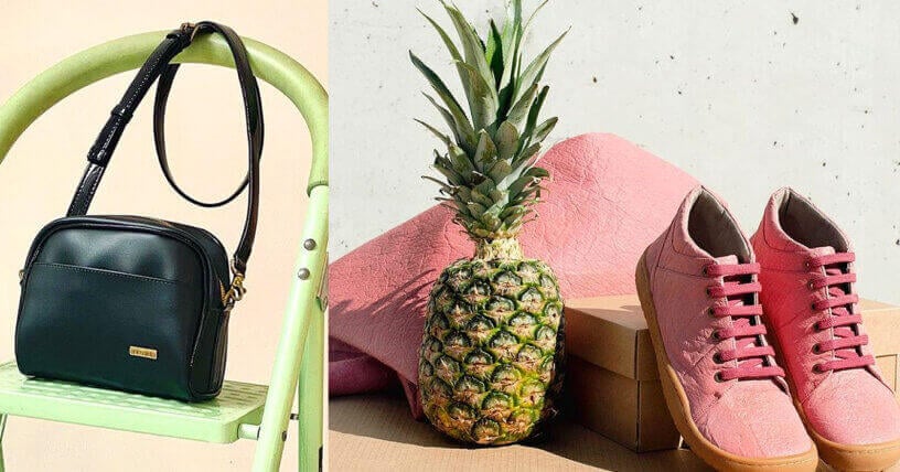 peta-approved vegan bags