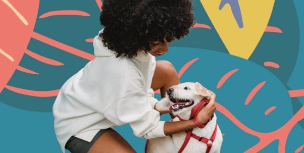 Person petting their dog on a harness with a fun botanical background