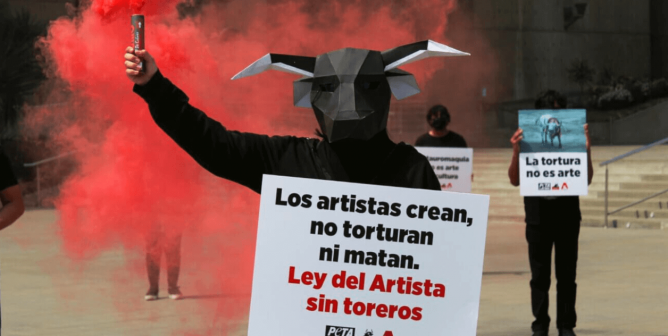PETA Latino’s Impact Is Felt Across the U.S. and Latin America—Here Are Some of Its Successes