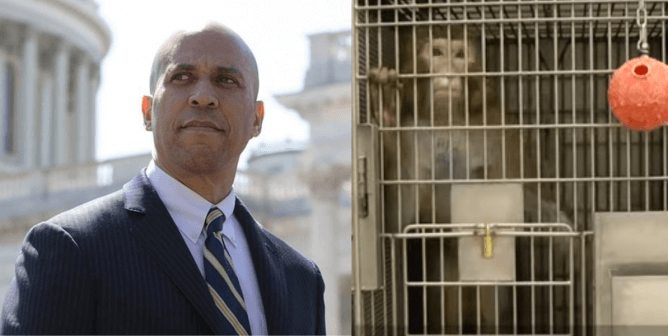 sen. booker, monkey at WaNPRC
