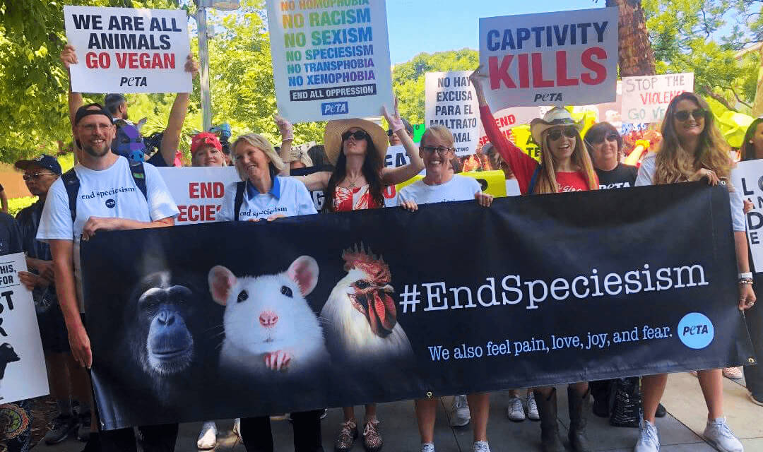 PETA supporters hold various protest signs and a large banner that reads "#EndSpeciesism We also feel pain, love, joy, and fear."