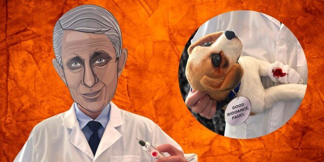 Fauci halloween costume