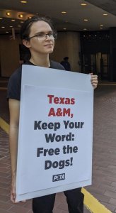 PETA staffer Braydon Medeiros holds a sign in protest of Texas A&M
