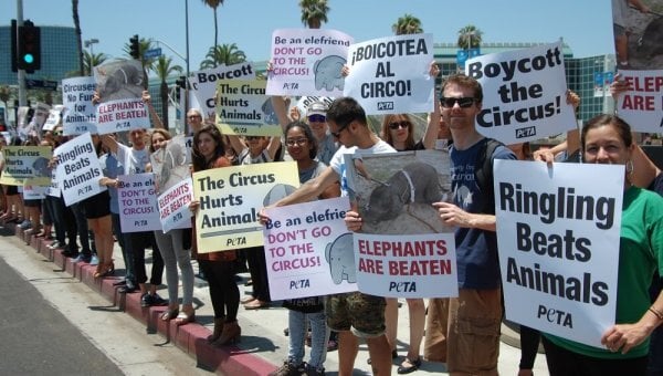people protesting ringling