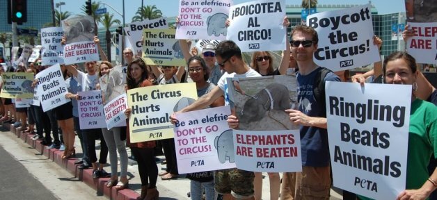 people protesting ringling