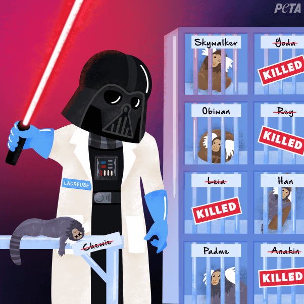 star wars illustration of umass lab with PETA logo