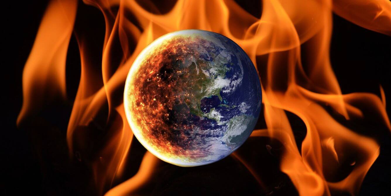 5 Secrets and techniques About Wool | PETA