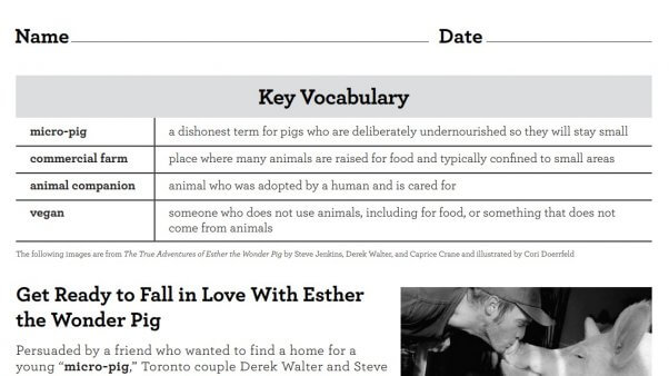 Esther the wonderpig screenshot TK Easy Ways You Can Support TeachKind