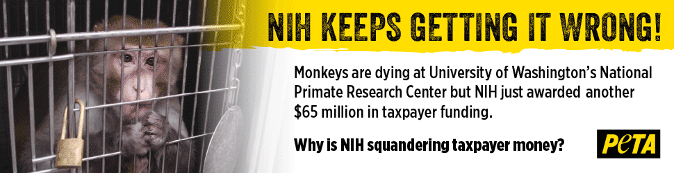 NIH Keeps Getting It Wrong!