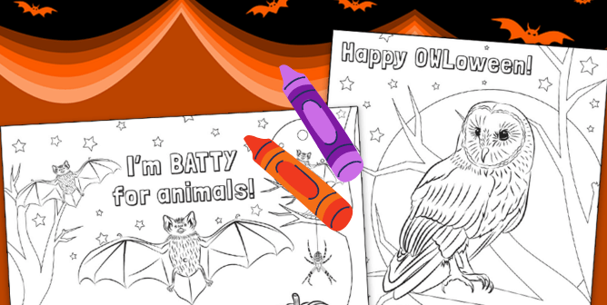 Free Printable: Help Kids Unmask Speciesism This Halloween