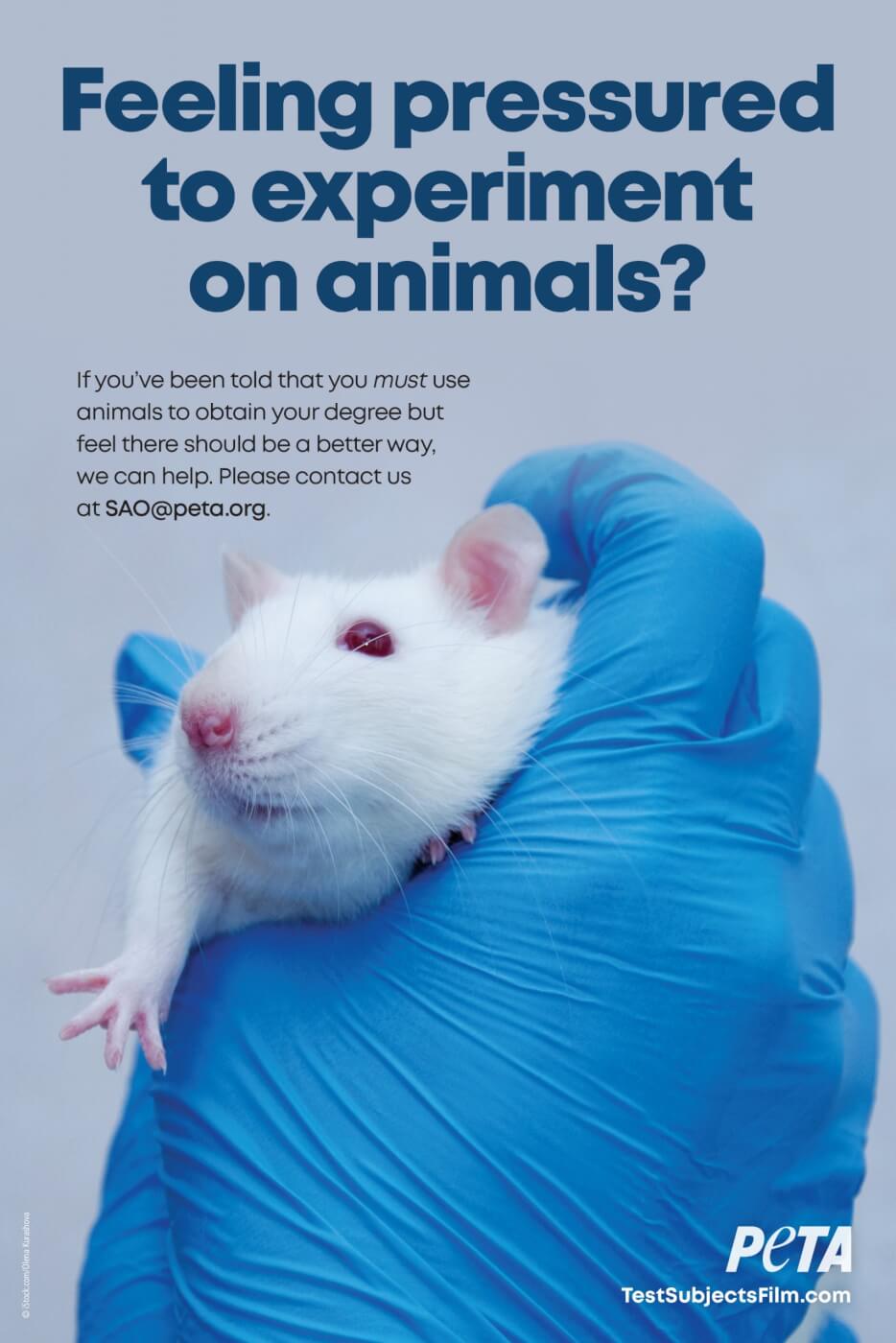 Animal Experimentation | PETA Animal Experimentation | PETA