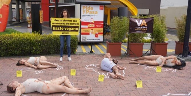 PETA Latino crime scene demo in Colombia with people laying on the ground with chalk outlines around them
