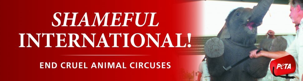 Shameful International! End Cruel Animal Circuses