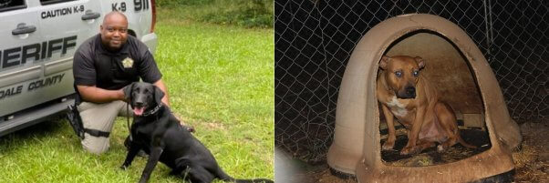 eric tolbert k9 other dog Eric Tolbert Charged With Cruelty After 3 Dogs Die in Heat