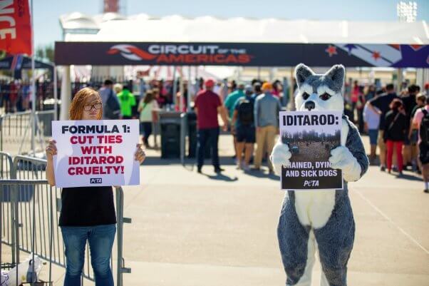 husky and protester in front of gate