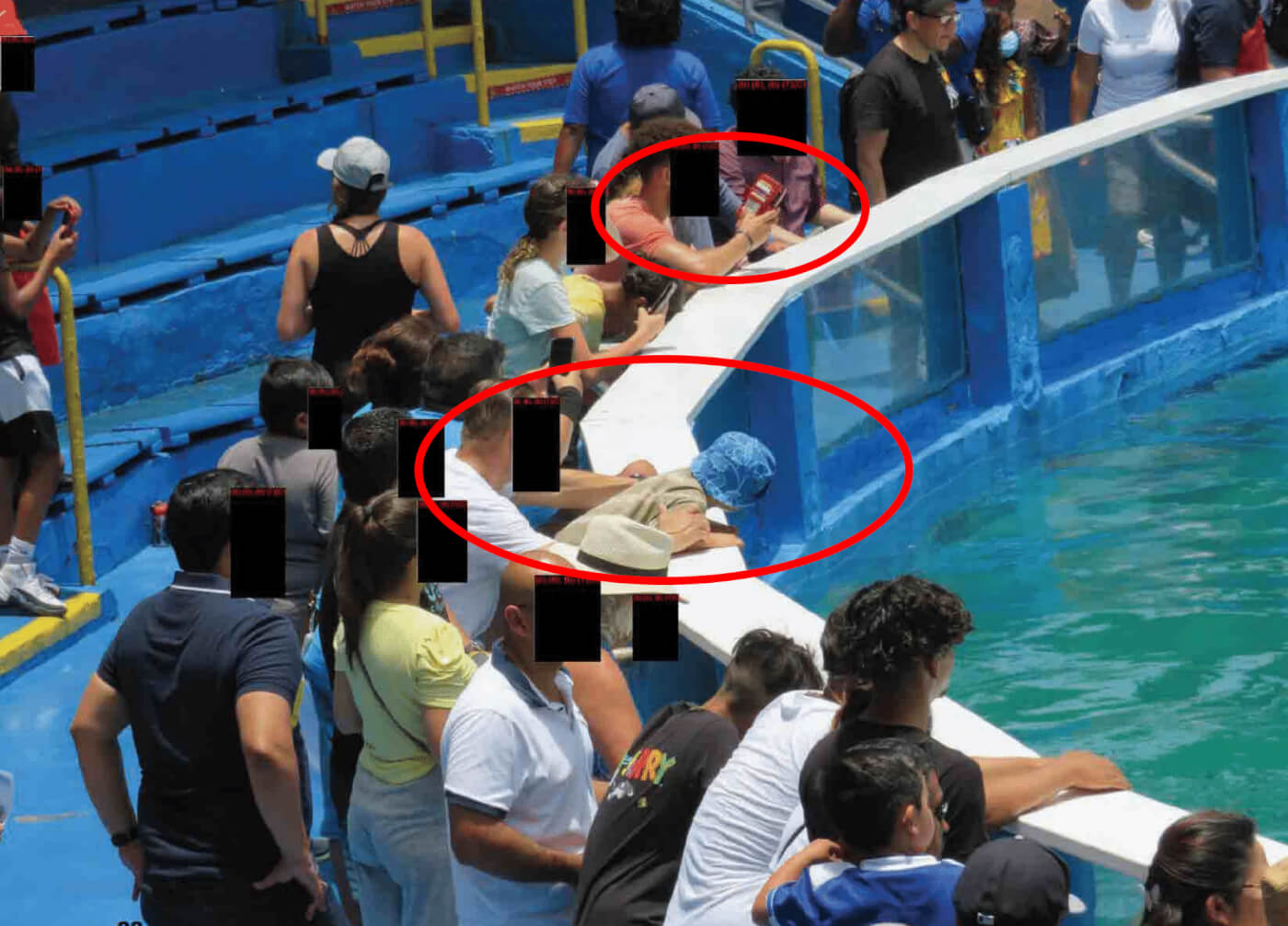 guests lean over the edge of Lolita's tank wall