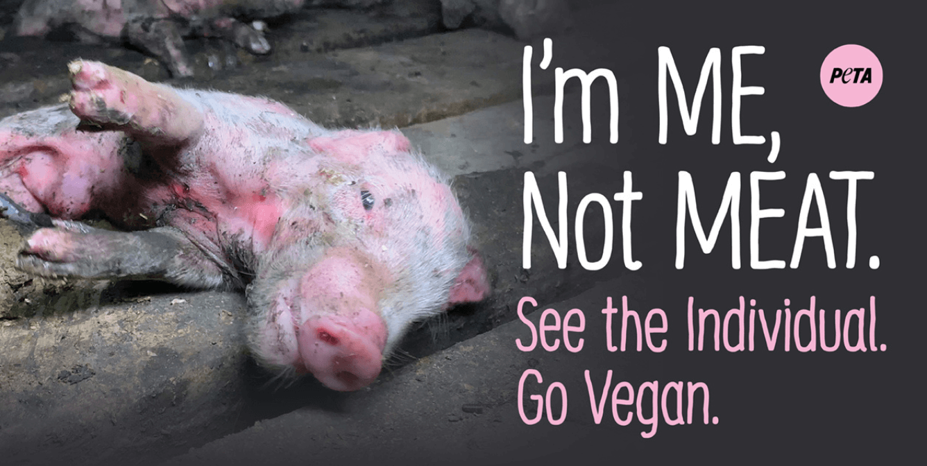 me not meat feature image Trial Begins for Heroes Who Revealed Smithfield’s Cruelty