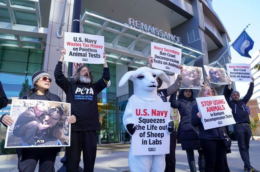 navy defense conference demo U.S. Navy Kills Animals in Cruel Decompression Tests