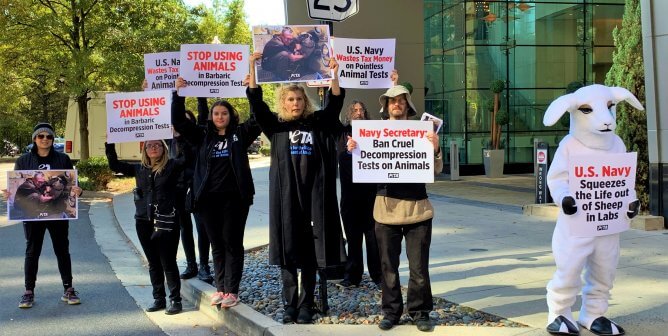 Campaign Updates: U.S. Navy Kills Animals in Cruel Decompression Tests