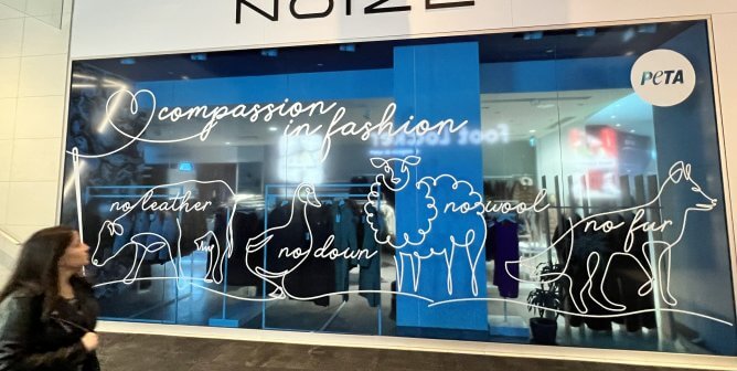 noize window display featuring illustrations of animals used for clothing