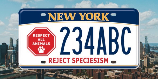 ‘Reject Speciesism’ License Plate Now Available From New York DMV