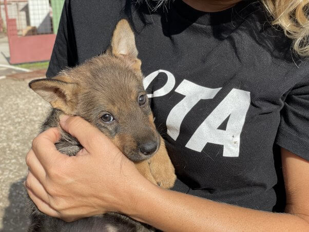 PETA Germany worker holds rescued dog Boni