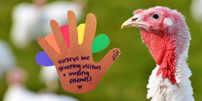 Looking for Craft Projects This ‘ThanksVegan’? PETA Kids Is Lending a Hand