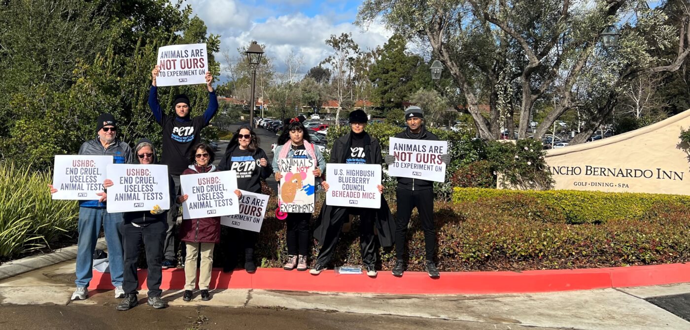 Protesters pictured outside of hotel