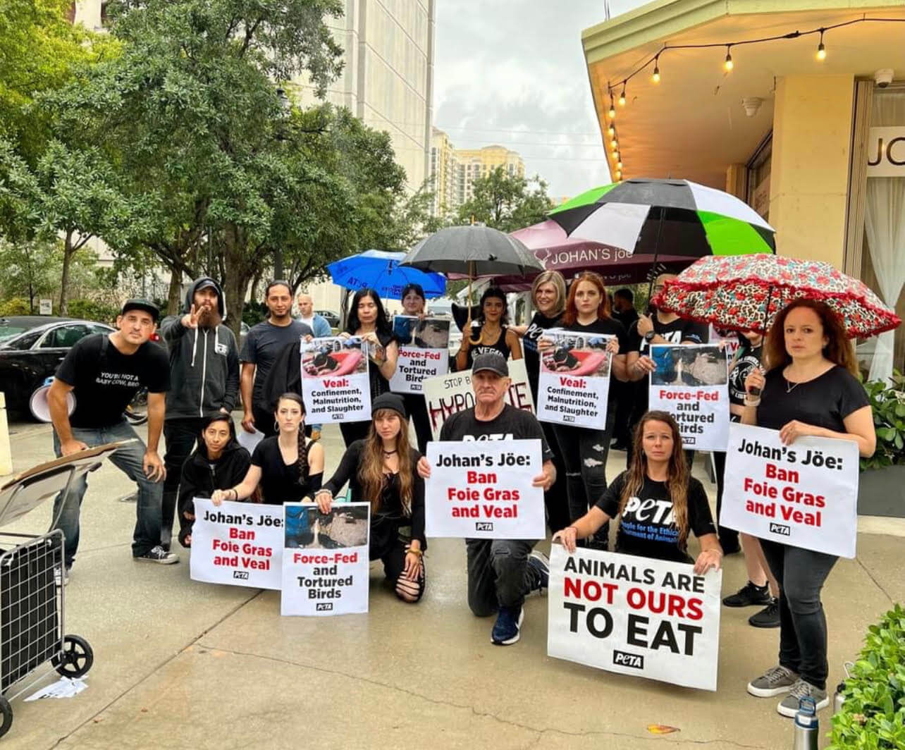 a crowd of protestors holding signs saying "Johan Joe: Ban Foie Gras and Veal" and other animal rights slogans posing in front of the restaurant on a sidewalk