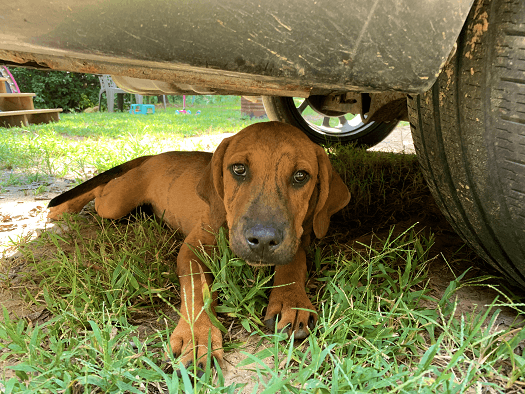 School Position, Washington