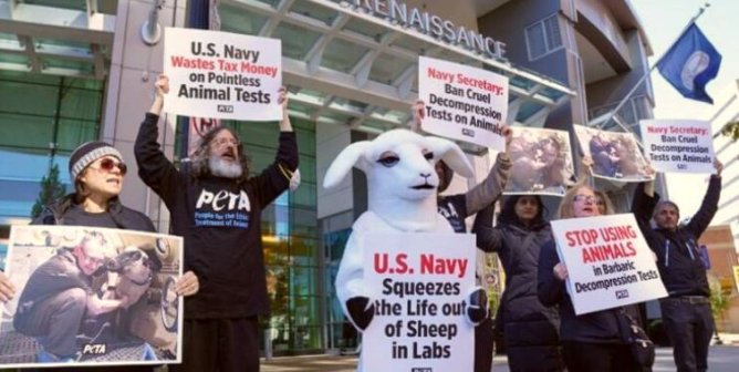 Giant ‘Sheep’ Demands That Navy Secretary End Cruel Decompression Tests