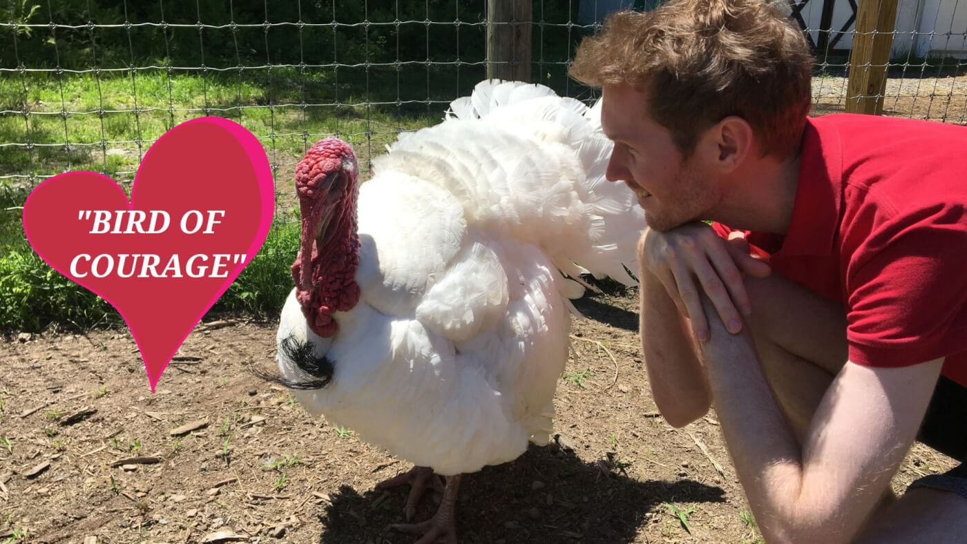 The author with a turkey at Tamerlaine Sanctuary and Preserve, plus inserted Ben Franklin "Bird of Courage" quote
