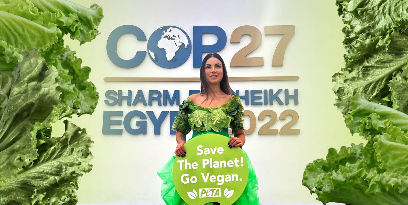 COP27 lettuce lady feature image PHOTOS: ‘Lettuce Ladies’ Hit COP27 With Vegan Message