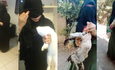 Woman in Egypt Arrested for Fetish ‘Crush’ Animal-Killing Videos Following PETA Entity Tip