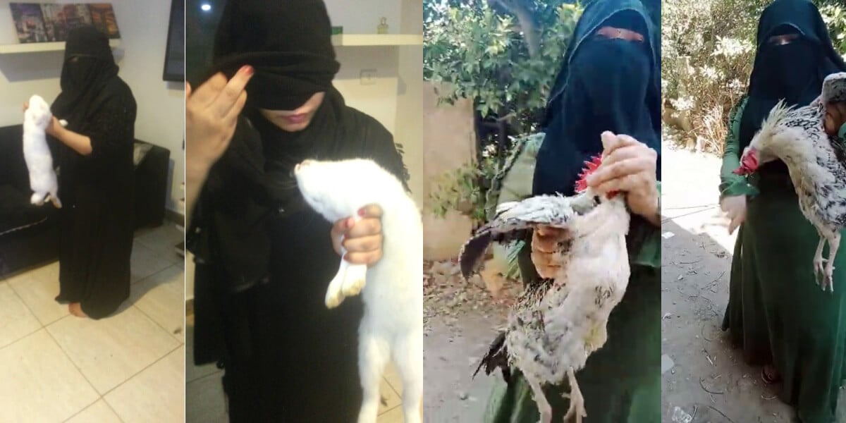 Cairo Woman Crush Video Screenshots Woman Arrested for Killing Animals in ‘Crush’ Videos
