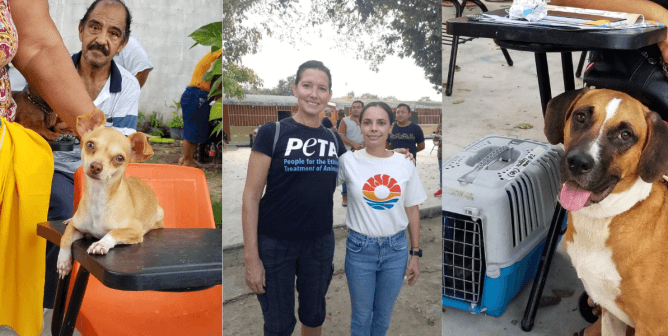 PETA Latino Hosts Weekend Spay/Neuter Event in Cancún