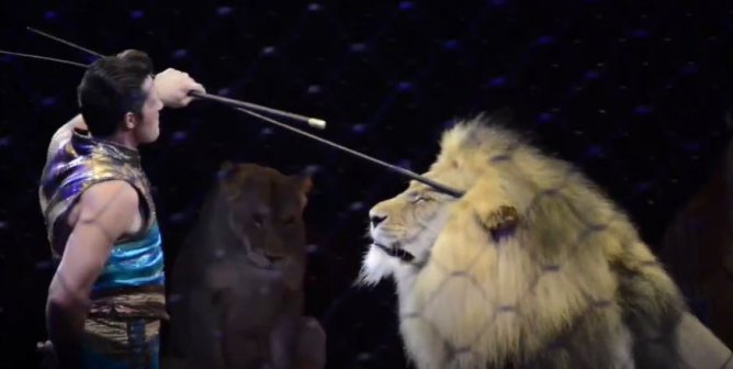 Shrine Circus Cruelty