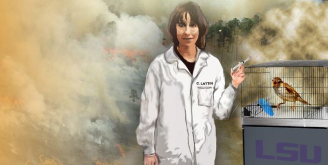 Christine Lattin experiment illustration with world burning behind her