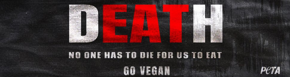 Death. No One Has to Die For Us To Eat. Go Vegan.