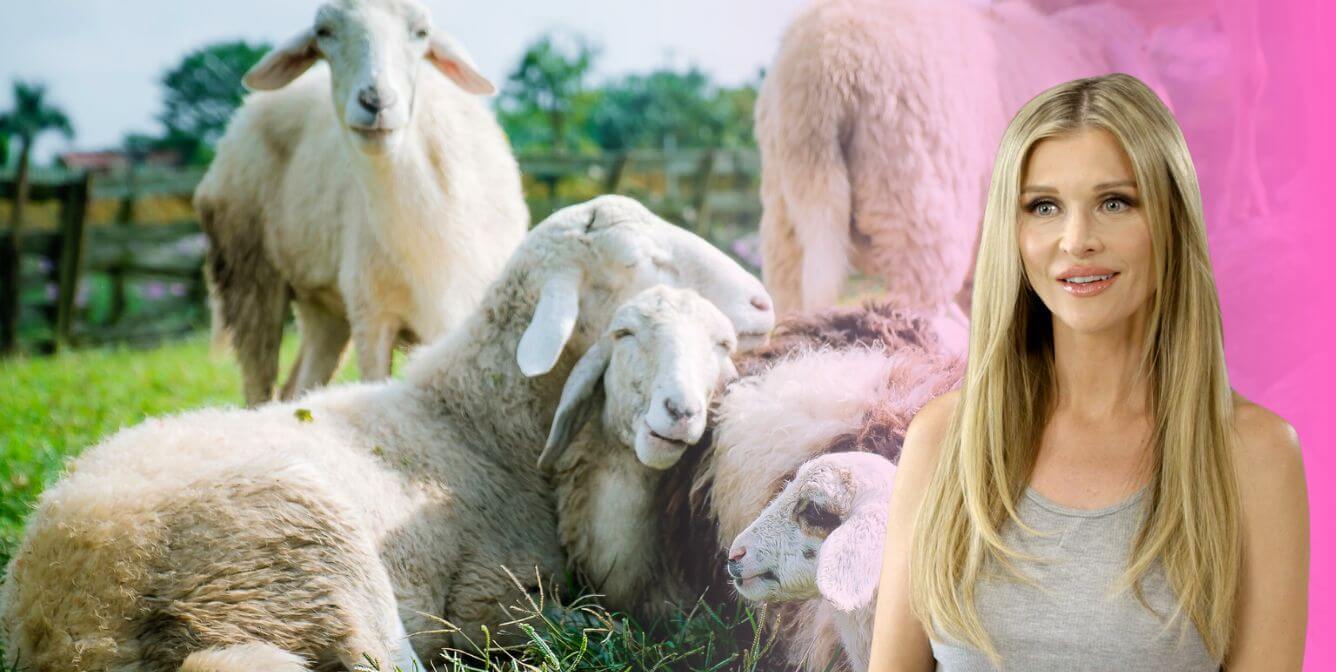 Joanna Krupa Wants You to Think Before You Buy Wool | PETA