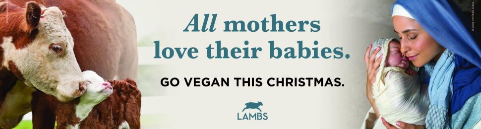 All Mothers Love Their Babies. Go Vegan This Christmas