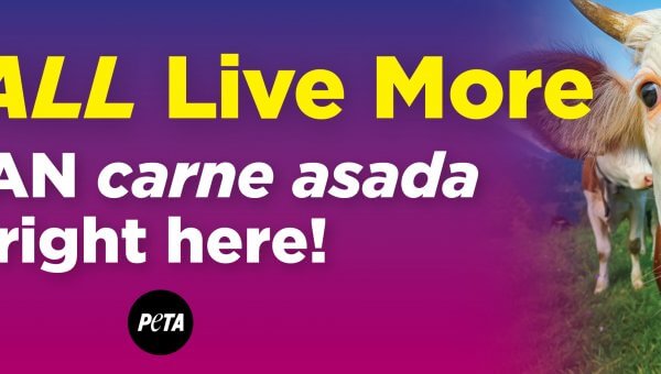 Let’s All Live More. Vegan Carne Asada Right Here!