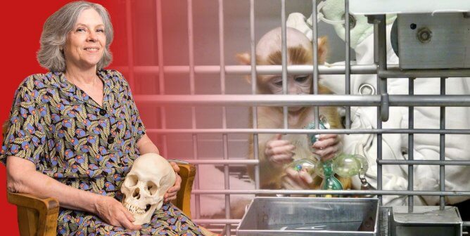 Margaret Livingstone and baby monkey with shaved head in a cage
