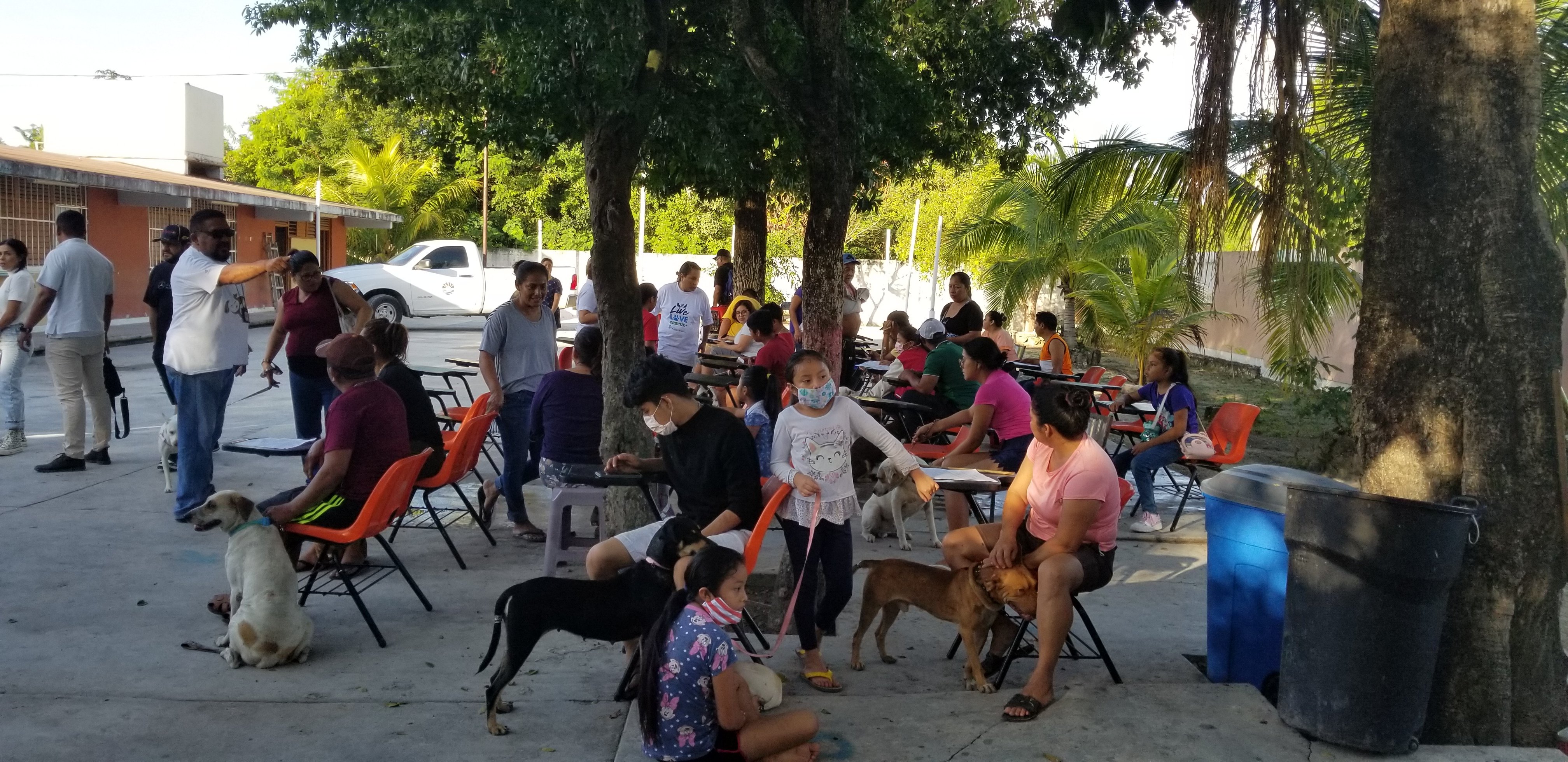 https://www.peta.org/wp-content/uploads/2022/11/Outside-Cancun-Spay-Neuter-Event.jpg