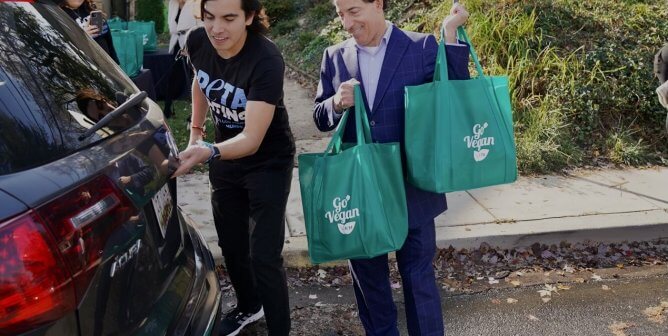 U.S. Rep. Jamie Raskin and PETA Hand Out ‘ThanksVegan’ Supplies