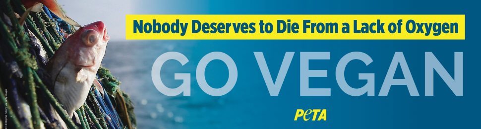 Nobody Deserves to Die From a Lack of Oxygen. Go Vegan