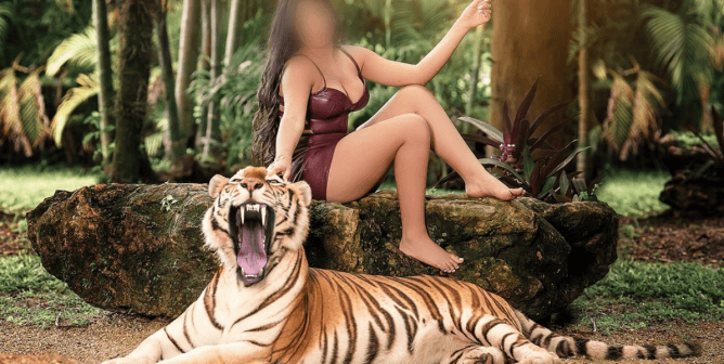 tiger for rent? the tiger in this photo was rented out as a "prop" for these photos with a young woman