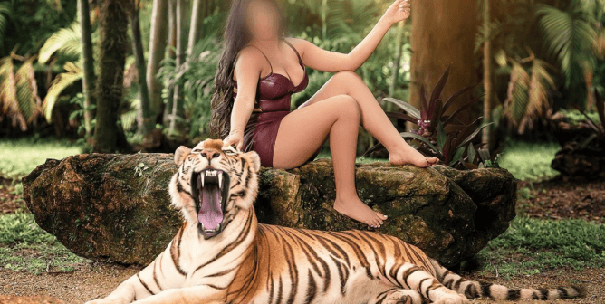 Tiger-Rental Companies Treat Big Cats Like Party Favors